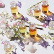 ヒメ日記 2026/01/19 08:01 投稿 伊藤つばき ミセスの癒しエステ