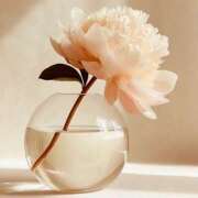 ヒメ日記 2026/01/30 08:00 投稿 伊藤つばき ミセスの癒しエステ