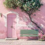 ヒメ日記 2026/01/31 08:00 投稿 伊藤つばき ミセスの癒しエステ