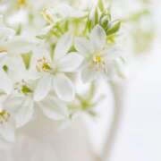 ヒメ日記 2026/02/01 11:00 投稿 伊藤つばき ミセスの癒しエステ