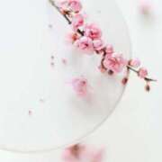 ヒメ日記 2026/03/09 08:00 投稿 伊藤つばき ミセスの癒しエステ