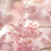 ヒメ日記 2026/03/12 08:00 投稿 伊藤つばき ミセスの癒しエステ