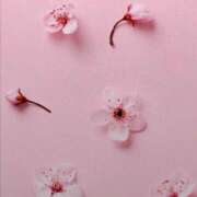 ヒメ日記 2026/03/13 08:00 投稿 伊藤つばき ミセスの癒しエステ