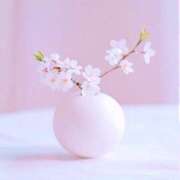 ヒメ日記 2026/03/14 08:00 投稿 伊藤つばき ミセスの癒しエステ