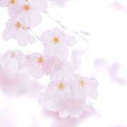 ヒメ日記 2026/03/15 08:00 投稿 伊藤つばき ミセスの癒しエステ