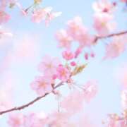 ヒメ日記 2026/03/20 08:00 投稿 伊藤つばき ミセスの癒しエステ