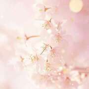 ヒメ日記 2026/03/20 08:15 投稿 伊藤つばき ミセスの癒しエステ