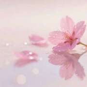 ヒメ日記 2026/03/21 08:00 投稿 伊藤つばき ミセスの癒しエステ