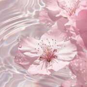 ヒメ日記 2026/03/23 08:00 投稿 伊藤つばき ミセスの癒しエステ