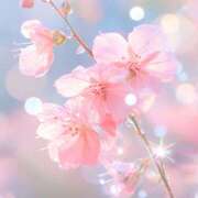 ヒメ日記 2026/03/24 08:00 投稿 伊藤つばき ミセスの癒しエステ