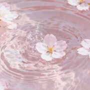 ヒメ日記 2026/03/27 08:00 投稿 伊藤つばき ミセスの癒しエステ