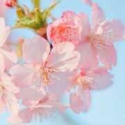 ヒメ日記 2026/03/29 08:00 投稿 伊藤つばき ミセスの癒しエステ