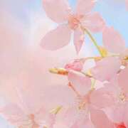 ヒメ日記 2026/04/06 08:00 投稿 伊藤つばき ミセスの癒しエステ