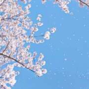 ヒメ日記 2026/04/07 08:00 投稿 伊藤つばき ミセスの癒しエステ