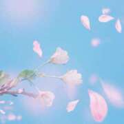 ヒメ日記 2026/04/09 08:00 投稿 伊藤つばき ミセスの癒しエステ