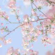 ヒメ日記 2026/04/12 08:00 投稿 伊藤つばき ミセスの癒しエステ