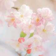 ヒメ日記 2026/04/14 08:00 投稿 伊藤つばき ミセスの癒しエステ