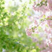 ヒメ日記 2026/04/15 08:00 投稿 伊藤つばき ミセスの癒しエステ