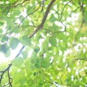 ヒメ日記 2026/04/16 12:55 投稿 伊藤つばき ミセスの癒しエステ