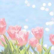 ヒメ日記 2026/04/21 08:00 投稿 伊藤つばき ミセスの癒しエステ