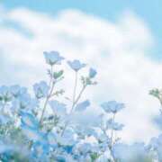 ヒメ日記 2026/04/22 13:57 投稿 伊藤つばき ミセスの癒しエステ