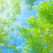 ヒメ日記 2026/04/23 08:00 投稿 伊藤つばき ミセスの癒しエステ