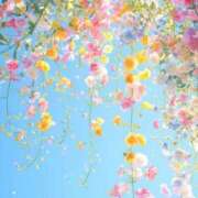 ヒメ日記 2026/04/24 08:00 投稿 伊藤つばき ミセスの癒しエステ