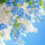 ヒメ日記 2026/04/25 08:00 投稿 伊藤つばき ミセスの癒しエステ