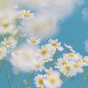 ヒメ日記 2026/04/28 08:00 投稿 伊藤つばき ミセスの癒しエステ