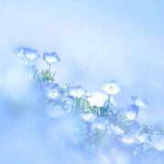 ヒメ日記 2026/04/30 08:00 投稿 伊藤つばき ミセスの癒しエステ