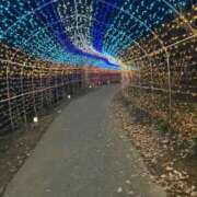 ヒメ日記 2025/12/29 23:44 投稿 みやび 仙南 愛ランド（白石、柴田、岩沼、名取）