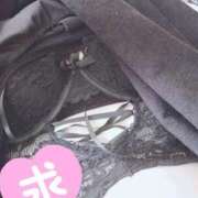 ヒメ日記 2025/10/29 13:44 投稿 酒田(さかた) 人妻出逢い会 百合の園 山の手本店