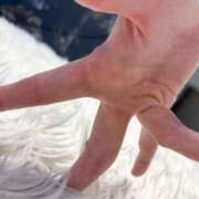 ヒメ日記 2025/09/20 09:42 投稿 ひなた 変態なんでも鑑定団