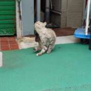 ヒメ日記 2025/10/22 23:19 投稿 すずか ぐっすり山田　大阪店