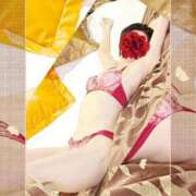 ヒメ日記 2025/11/27 05:54 投稿 かすみ 即アポ奥さん～浜松店～