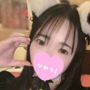 ヒメ日記 2026/03/13 08:39 投稿 ひなえ ハピネス＆ドリーム 松山道後温泉