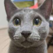 ヒメ日記 2026/03/23 21:38 投稿 ひなえ ハピネス＆ドリーム 松山道後温泉