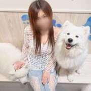 ヒメ日記 2025/09/22 23:48 投稿 こいと 逢って30秒で即尺