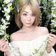 ヒメ日記 2026/04/23 08:46 投稿 こいと 逢って30秒で即尺