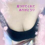 ヒメ日記 2025/06/11 16:47 投稿 月影ゆか 五十路マダムエクスプレス豊橋店（カサブランカグループ）