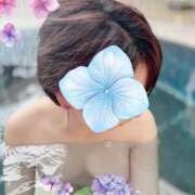 ヒメ日記 2025/07/08 03:30 投稿 月影ゆか 五十路マダムエクスプレス豊橋店（カサブランカグループ）