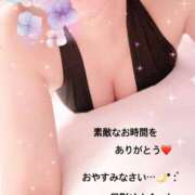 ヒメ日記 2026/04/13 02:00 投稿 月影ゆか 五十路マダムエクスプレス豊橋店（カサブランカグループ）