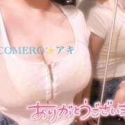 ヒメ日記 2025/07/29 14:46 投稿 アキ COCOMERO（ココメロ）