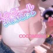 ヒメ日記 2025/08/27 09:01 投稿 アキ COCOMERO（ココメロ）