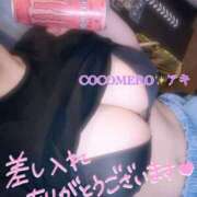 ヒメ日記 2025/09/26 08:31 投稿 アキ COCOMERO（ココメロ）