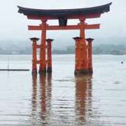 ヒメ日記 2025/06/24 12:50 投稿 ゆいか One More 奥様　錦糸町店