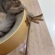 ヒメ日記 2025/06/24 16:23 投稿 ゆいか One More 奥様　錦糸町店