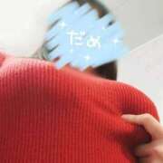 ヒメ日記 2025/11/11 00:01 投稿 リオ COCOMERO（ココメロ）