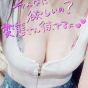 ヒメ日記 2025/12/23 07:46 投稿 リオ COCOMERO（ココメロ）