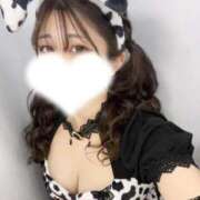 ヒメ日記 2026/01/26 15:59 投稿 蘭　せいか OLピンクコレクション